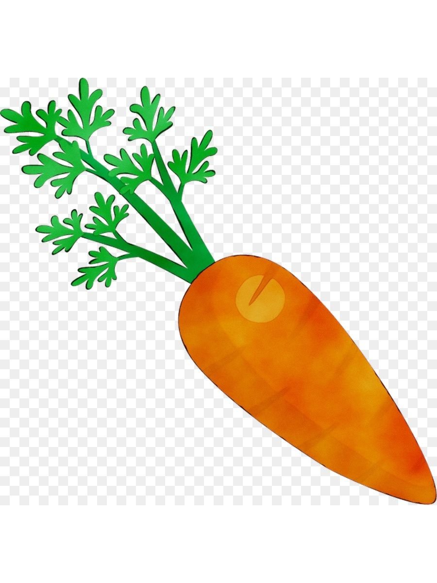 Акварельные скетчи морковь