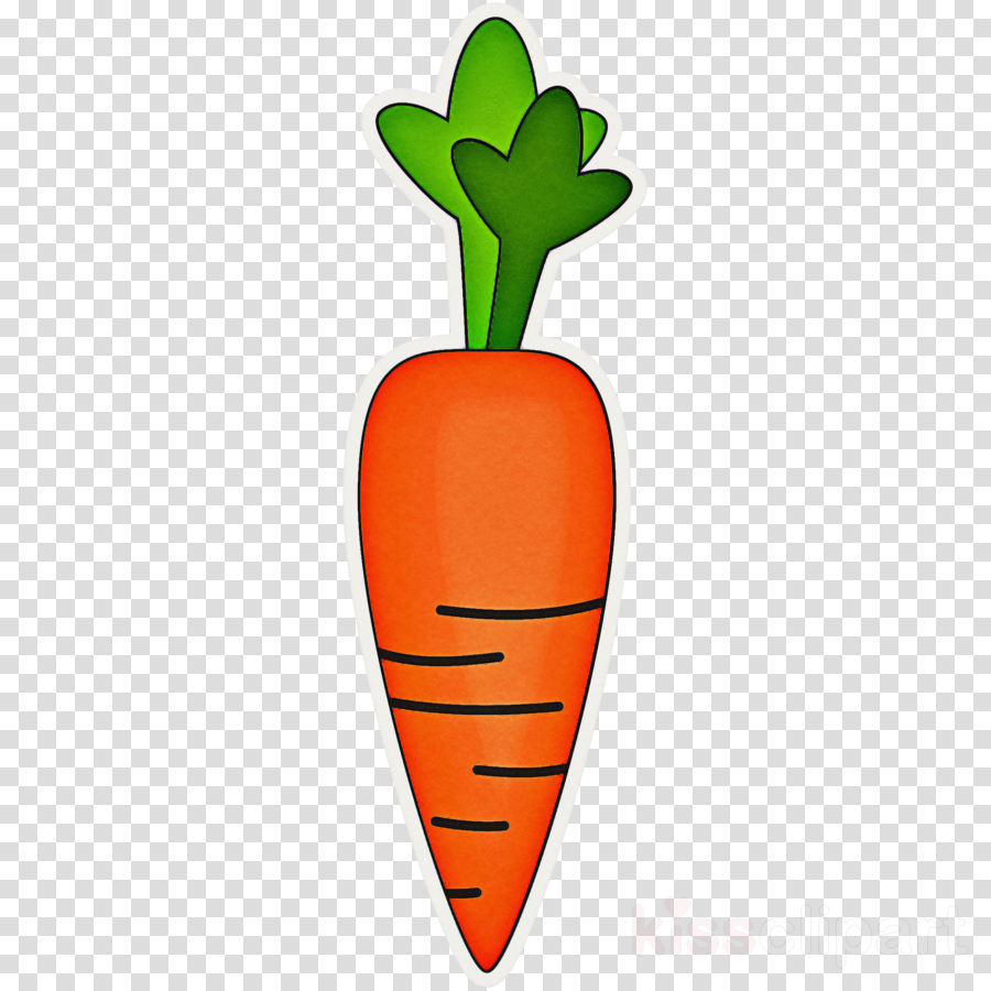 Скетч морковь акварелью