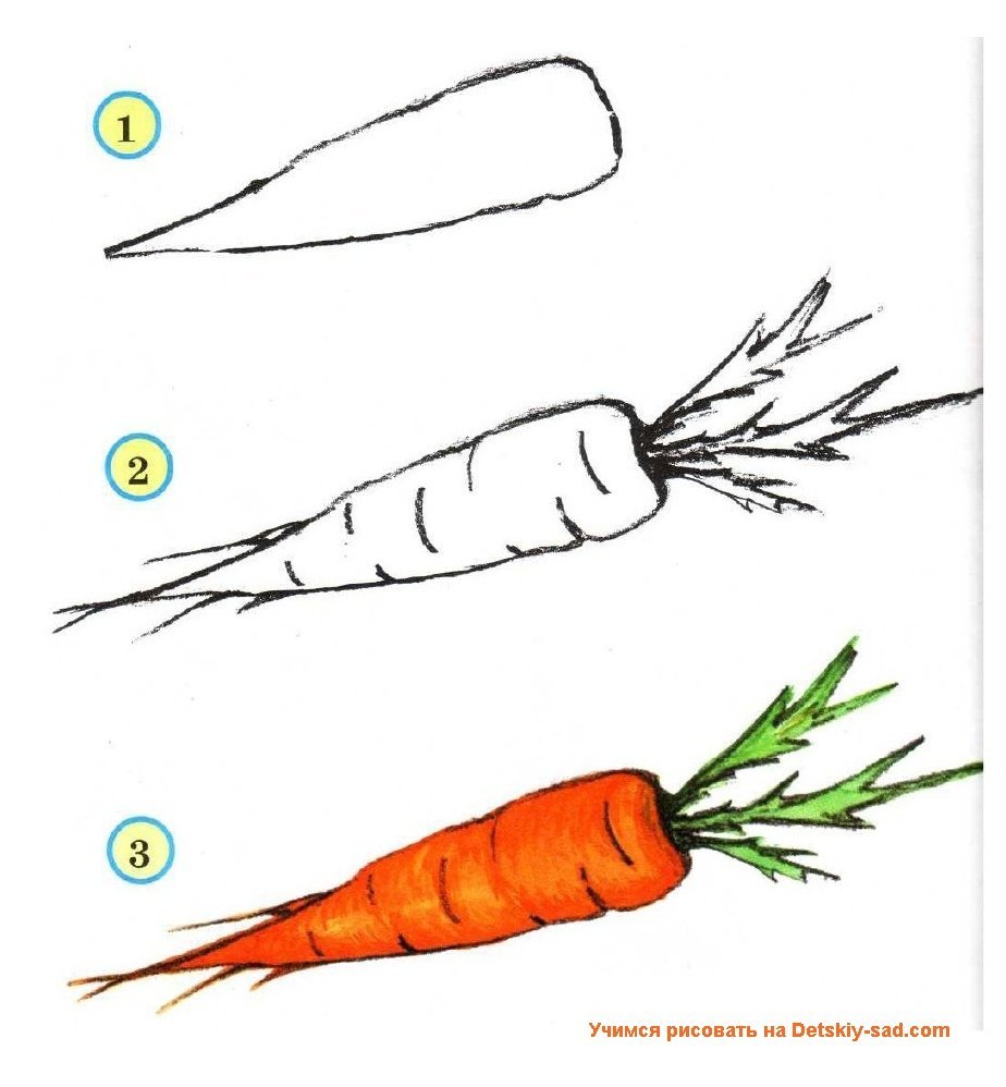 Веселая морковка на прозрачном фоне