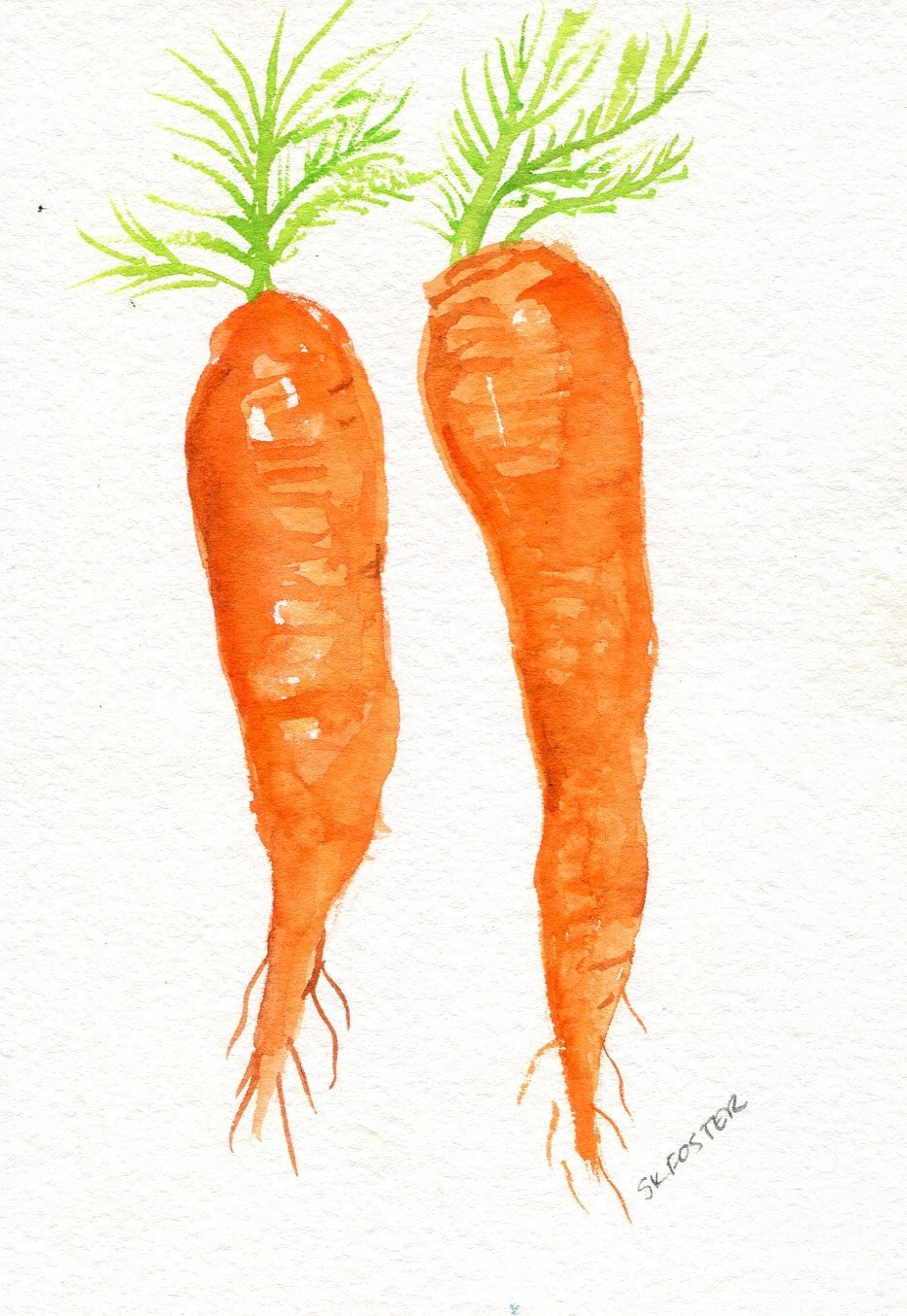 Морковка для дошкольников