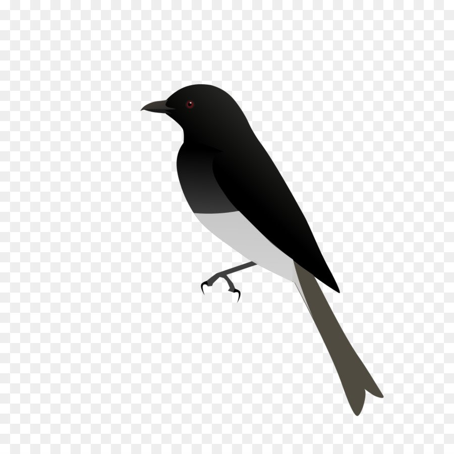 Эмблемы с изображением птиц