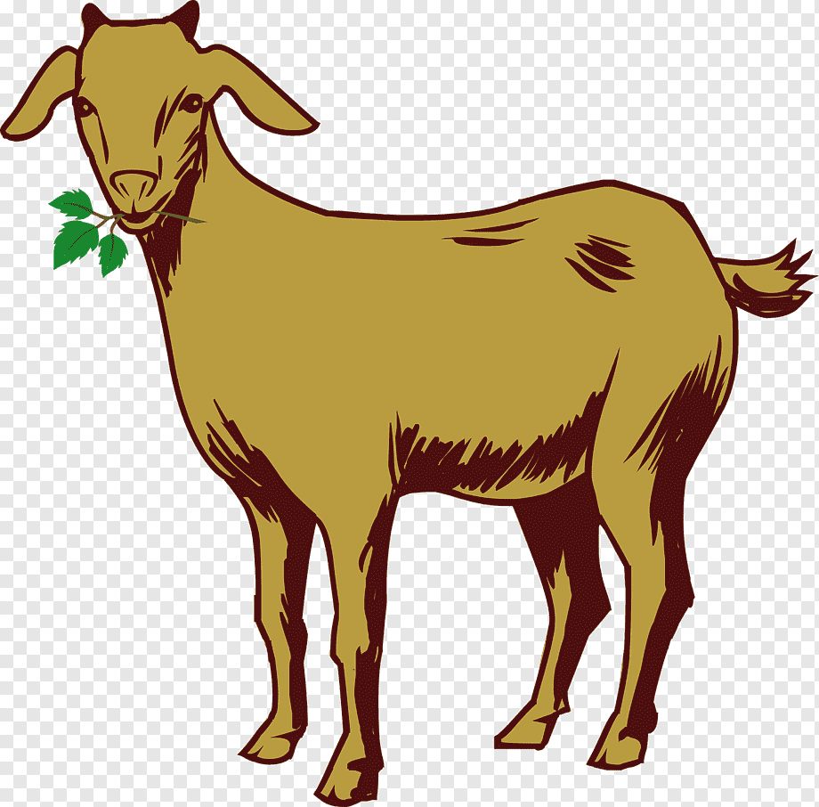 Домашние животные для детей коза