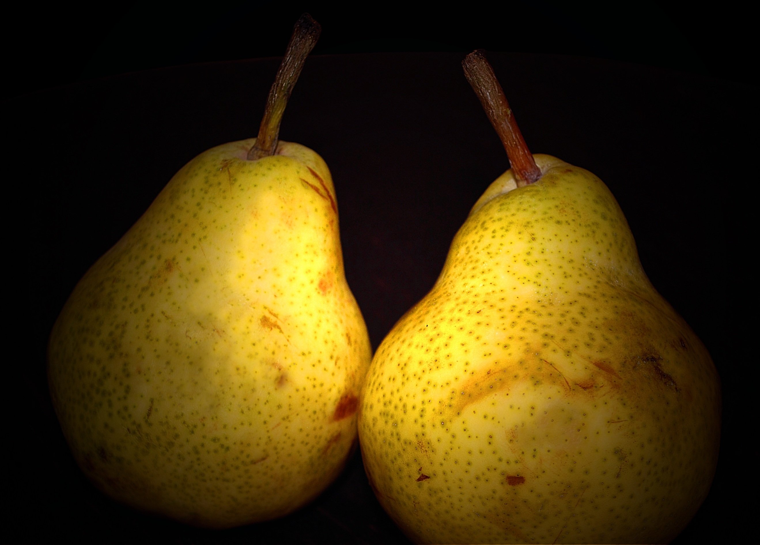 Pear. Слоновья груша фрукт. Груша (плод). Груша большая. Самая красивая груша.