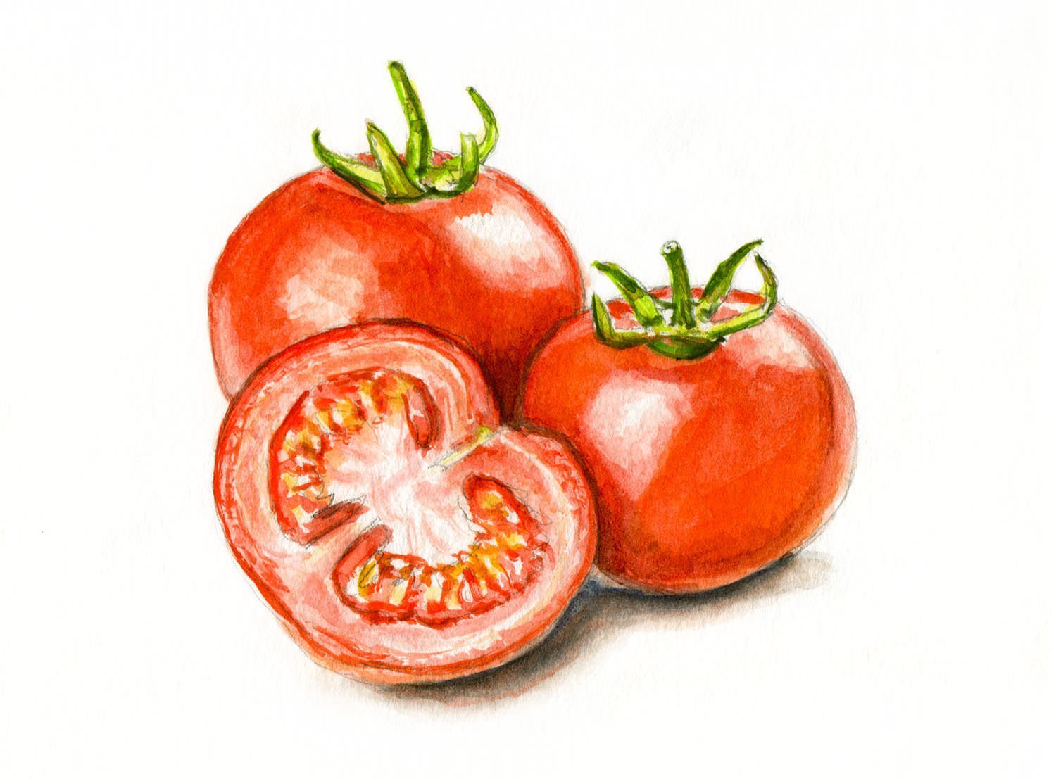 помидор картинки нарисованные