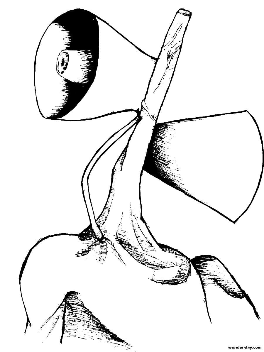 Сереноголовый рисунок
