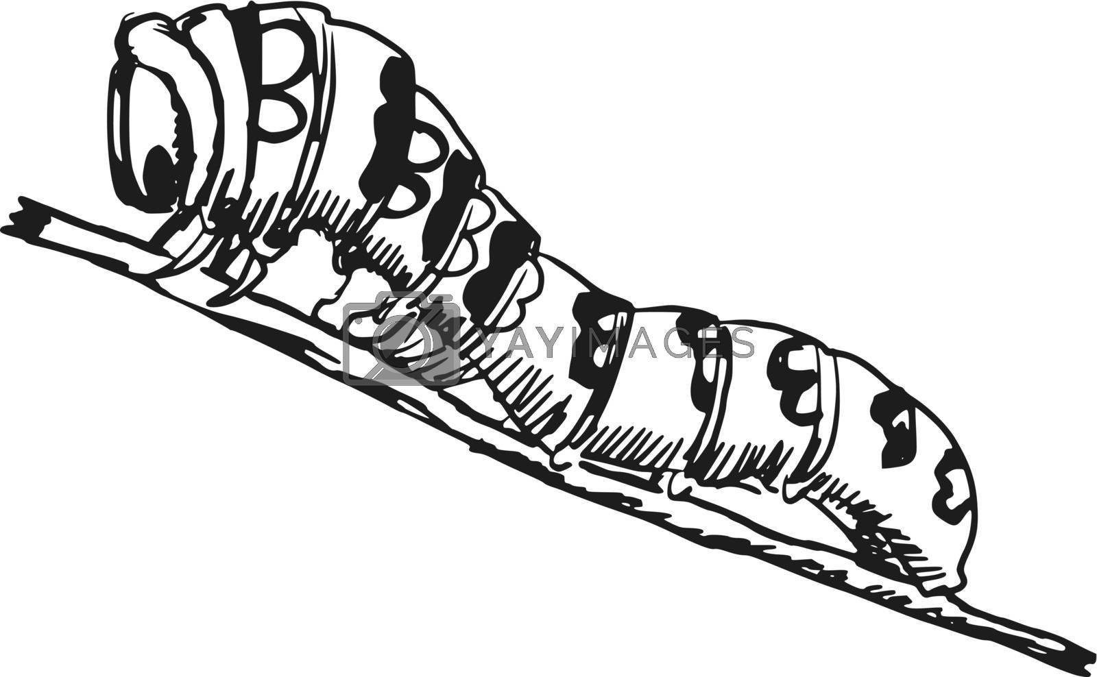 Простой рисунок гусеница