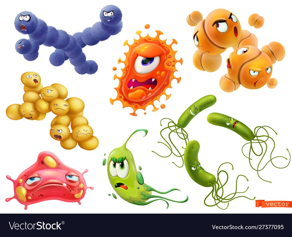 Царство бактерии бацилла
