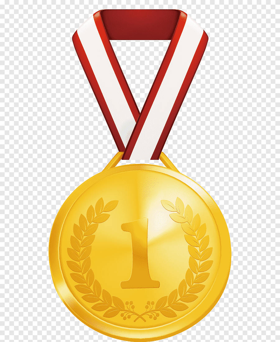 Золотая медаль первое место