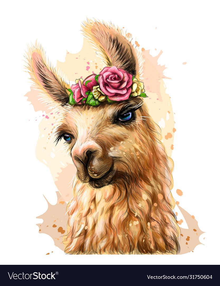 Lama animal акварель