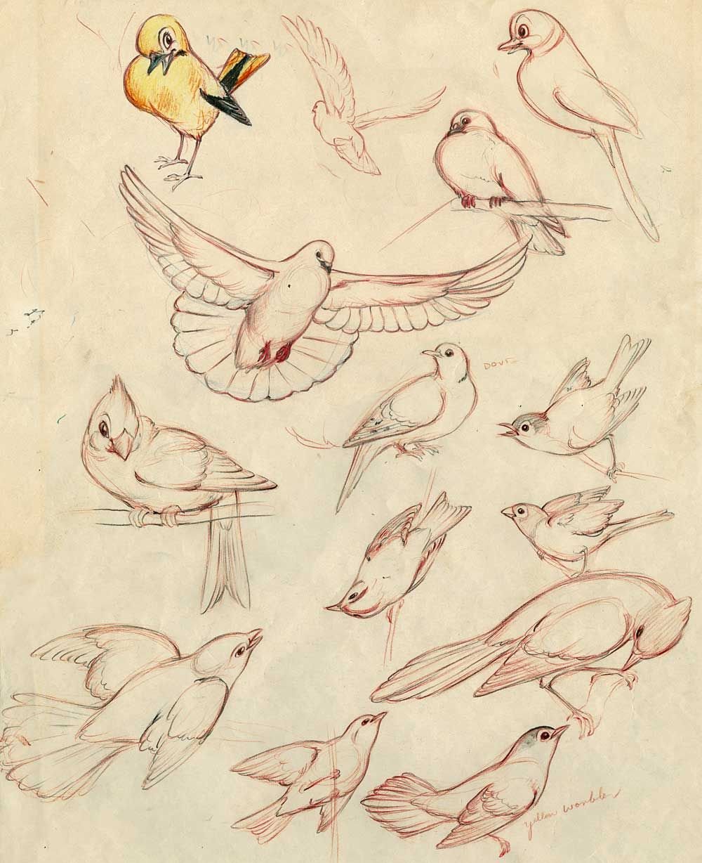 Эскиз птицы схематично