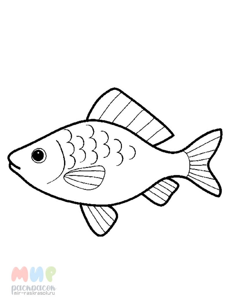 Японские рыбки акварель
