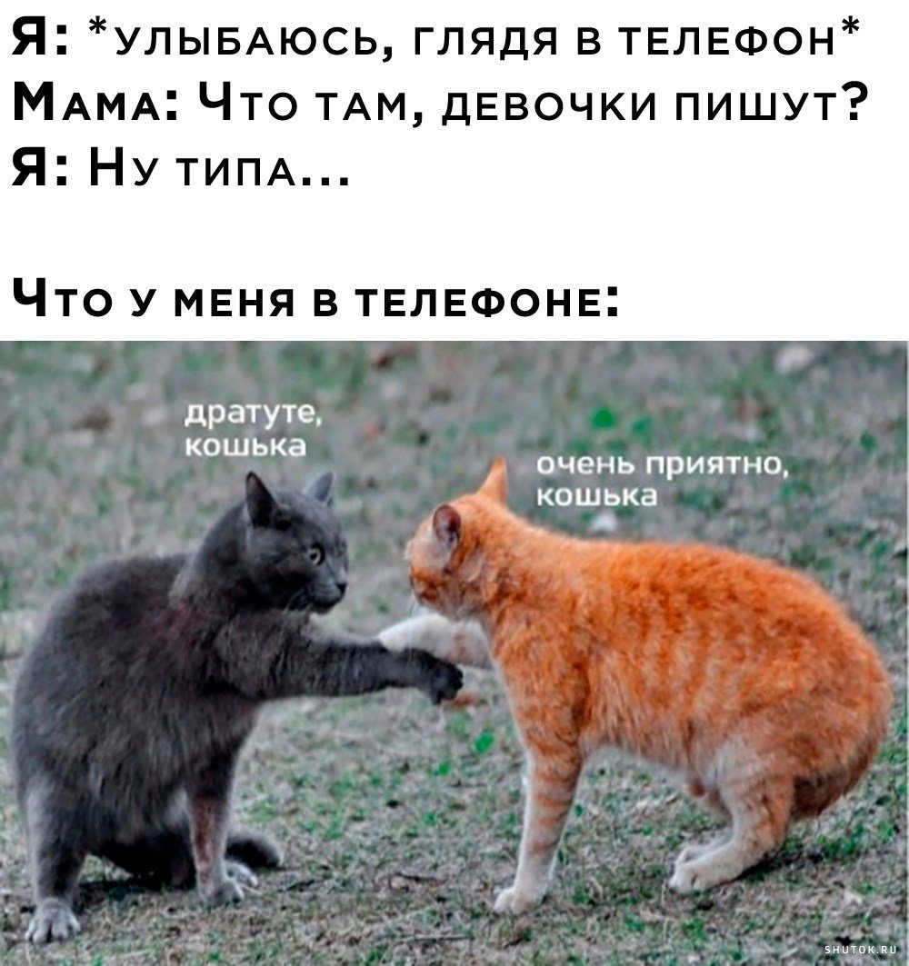 Медитация прикол