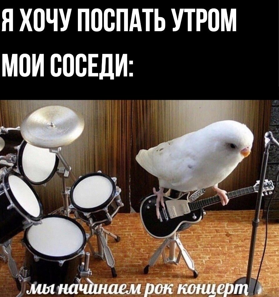 Шопен мемы