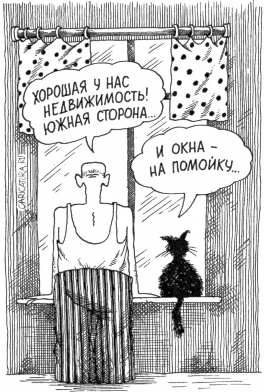 Риэлтор карикатура