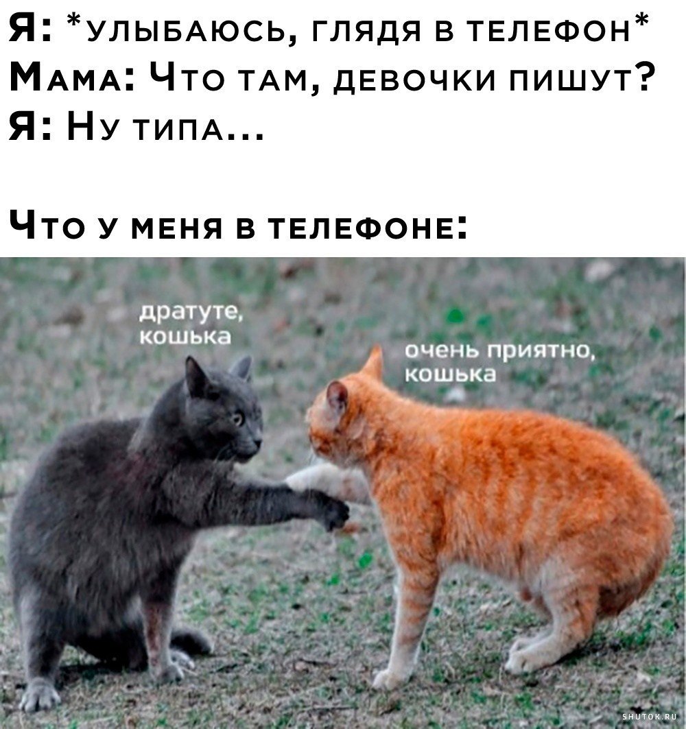 Беговой юмор