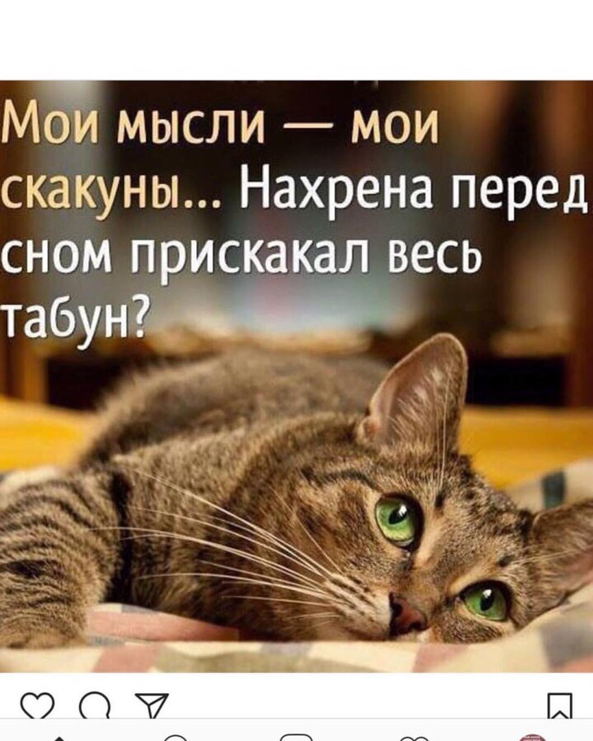 Свернуться клубочком