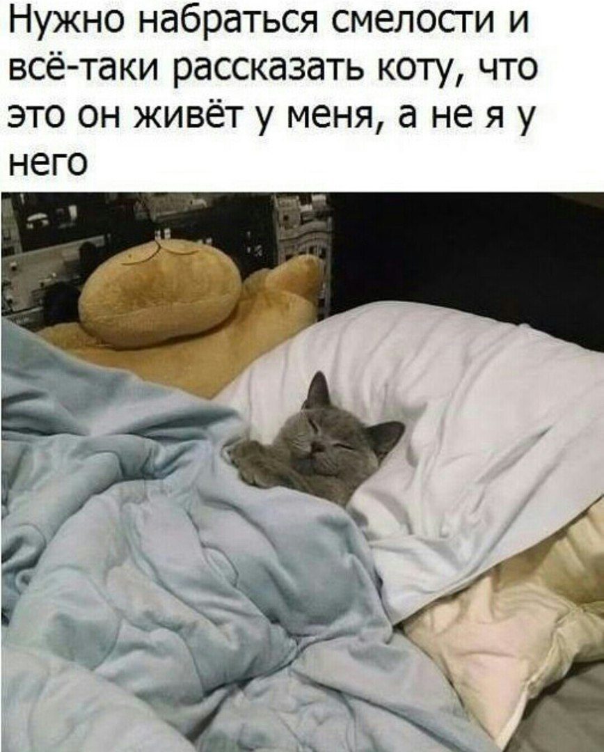 Спокойной ночи шутка