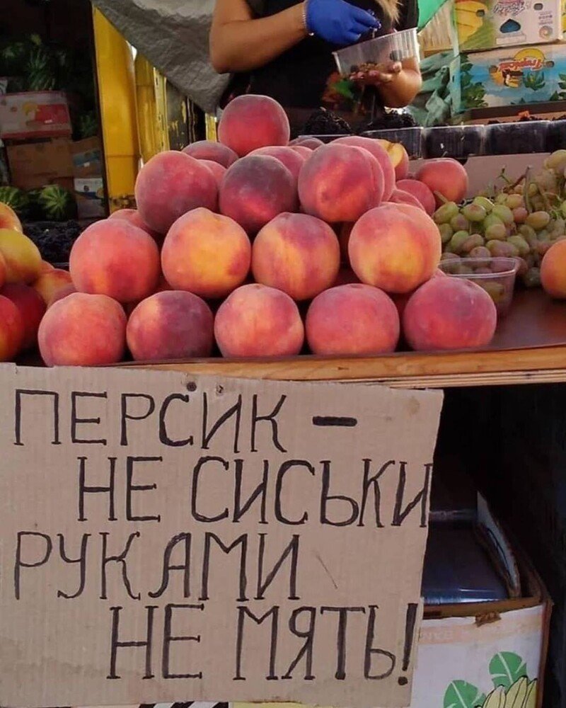 Сочи юмор