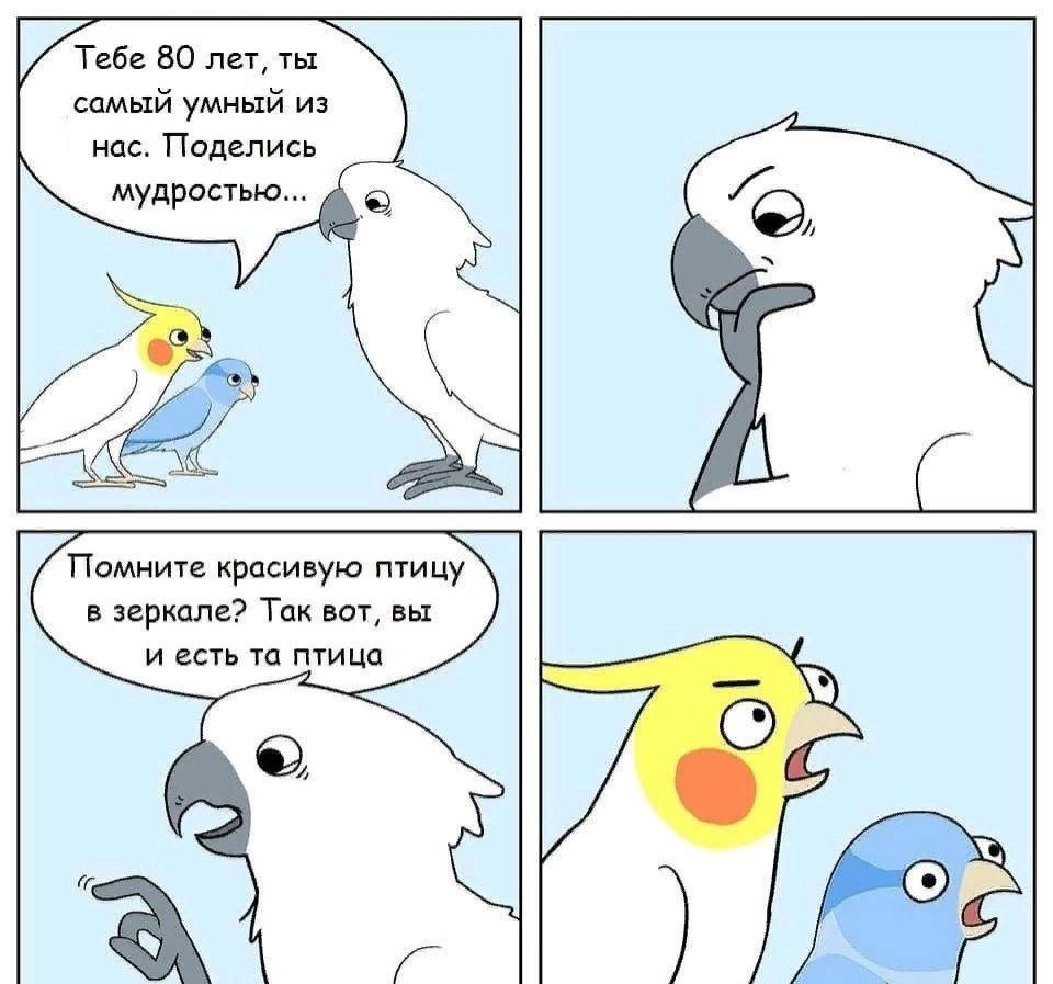 Комиксы про птиц