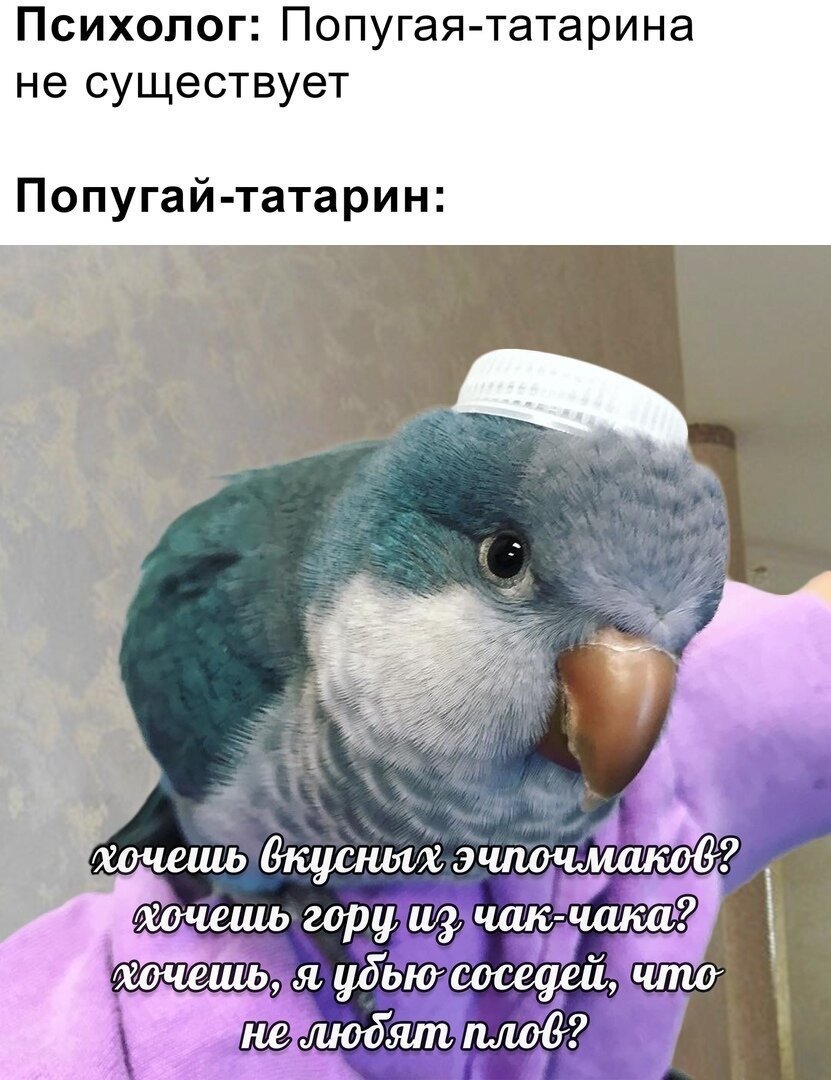 Попугай татарин