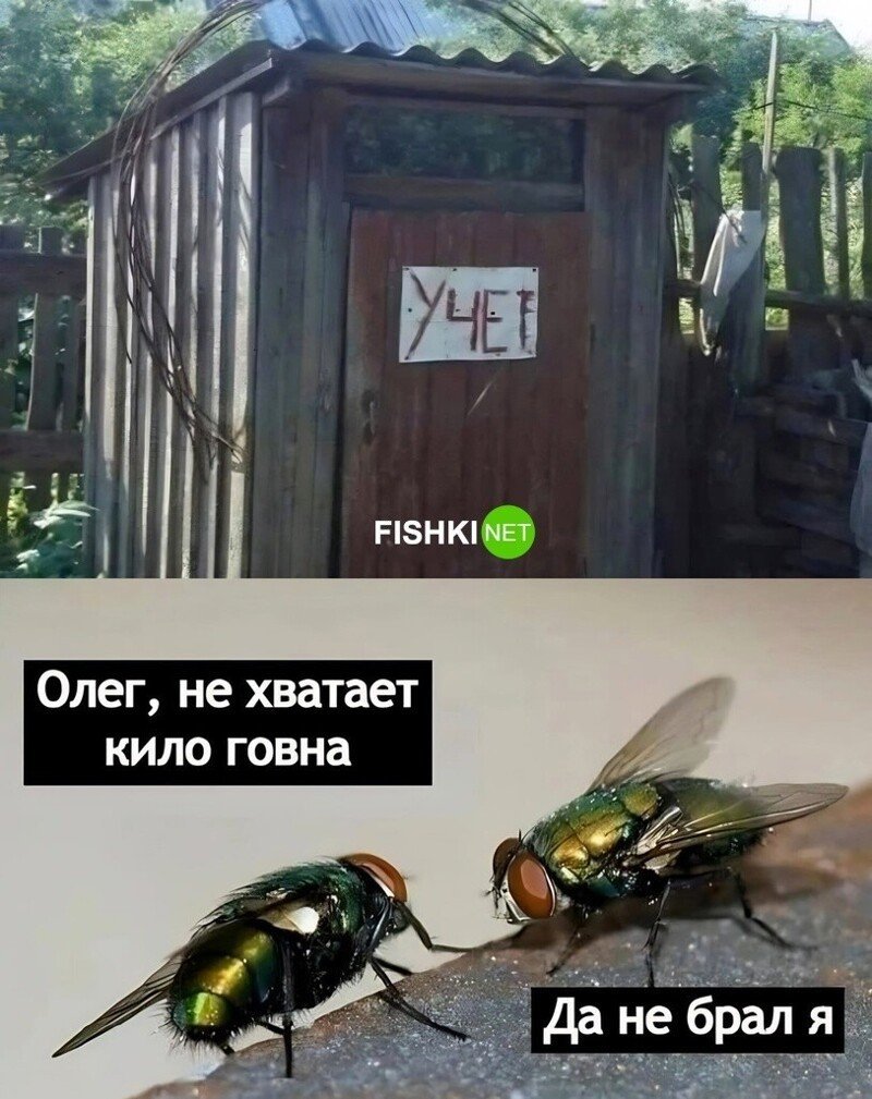 Самые популярные мемы