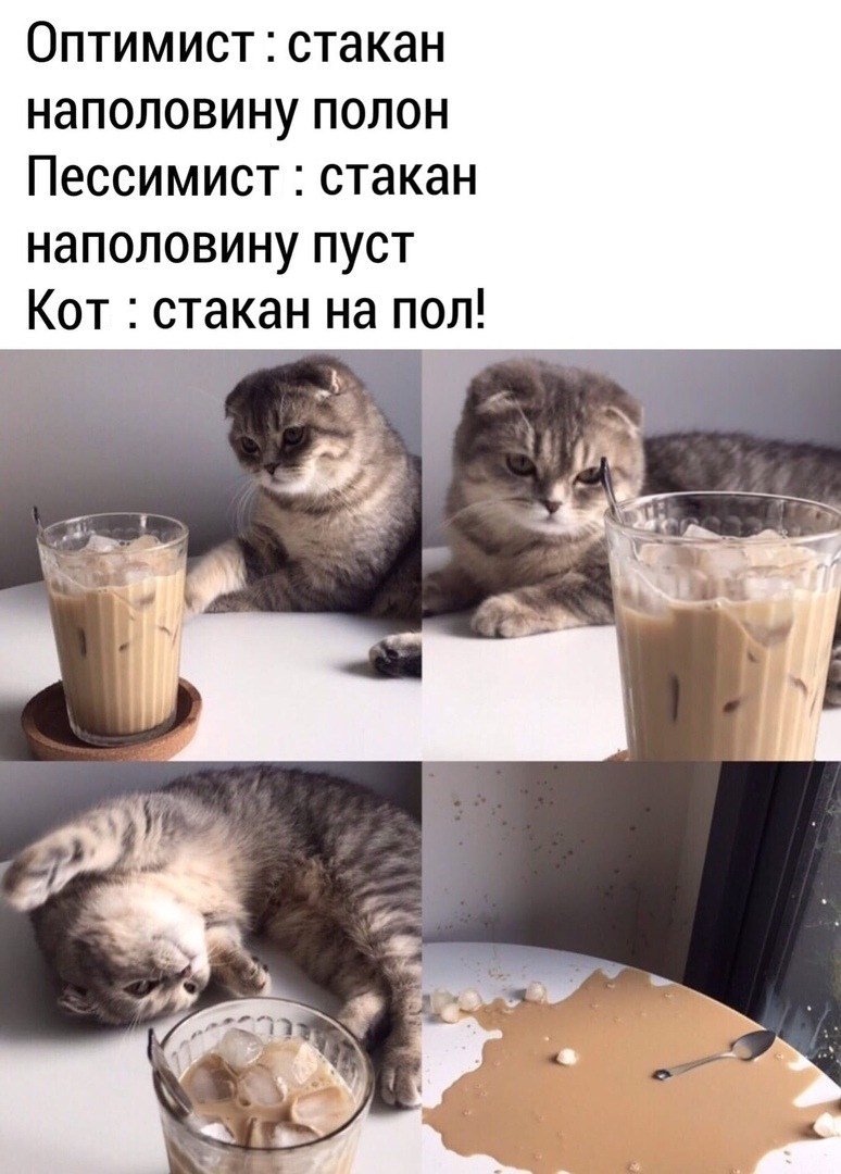 Юмор оптимист