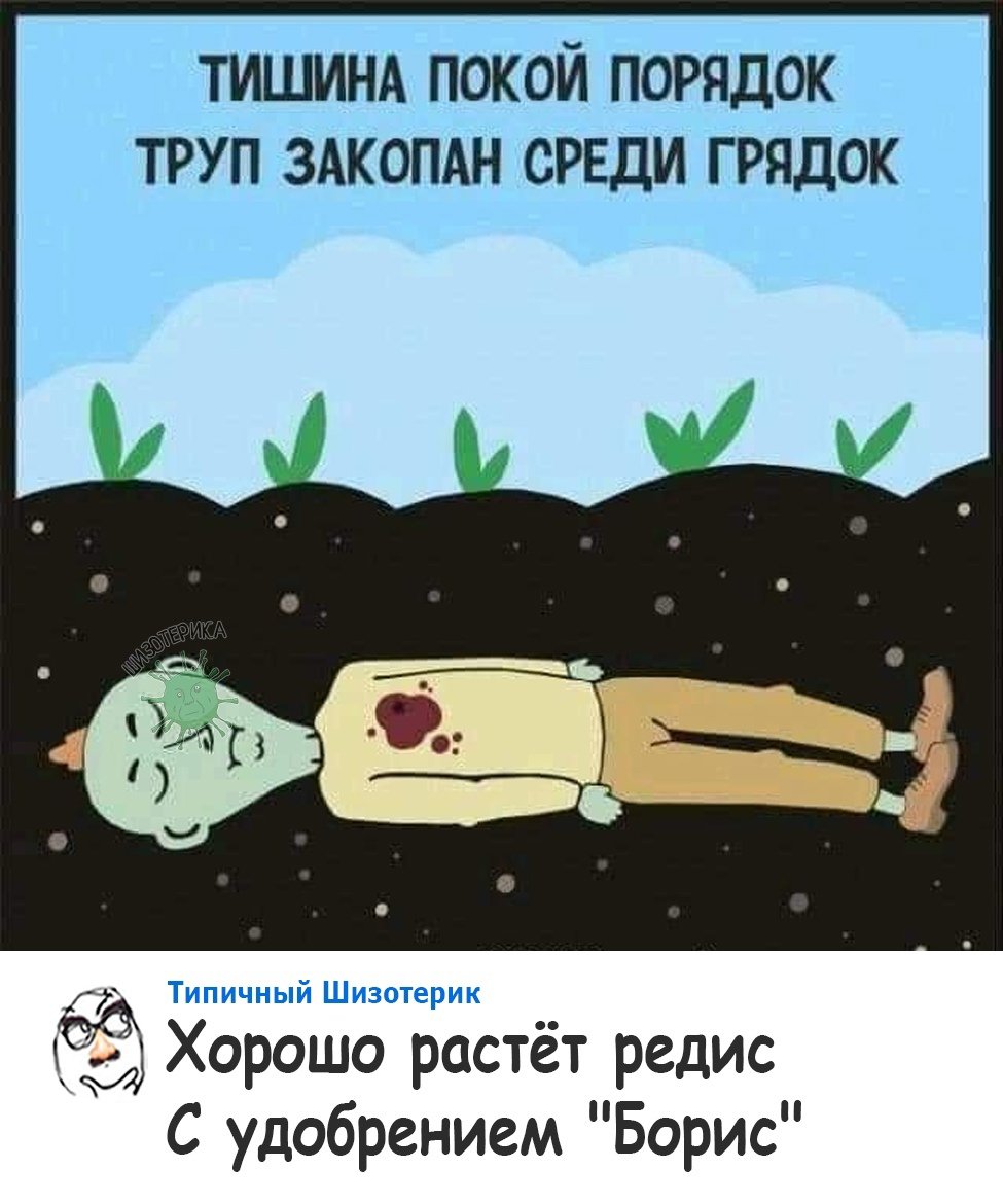 Смешные цитаты