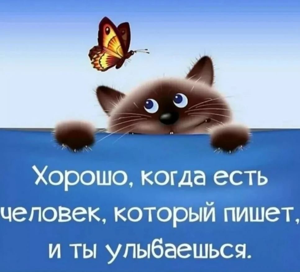 Котики позитивные с надписями