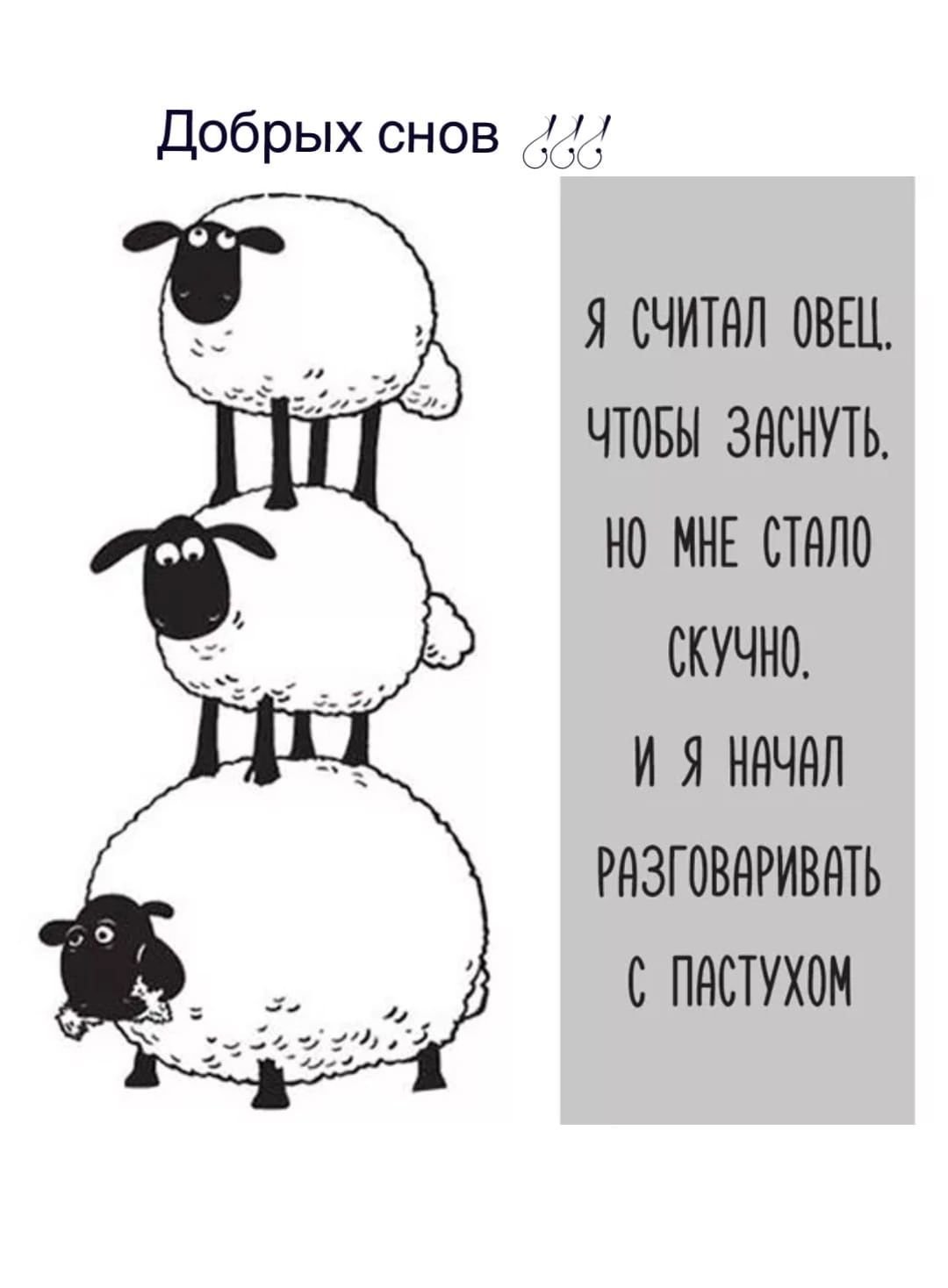 Спокойной ночи ржачные до слез. Спокойной ночи прикол. Открытки спокойной ночи прикольные с юмором. Спокойной ночи приколы смешные. Спокойной ночи приколы в картинках.