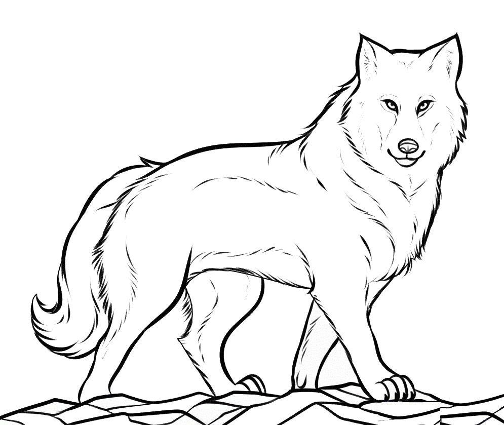 Волк и ягненок рисунок карандашом