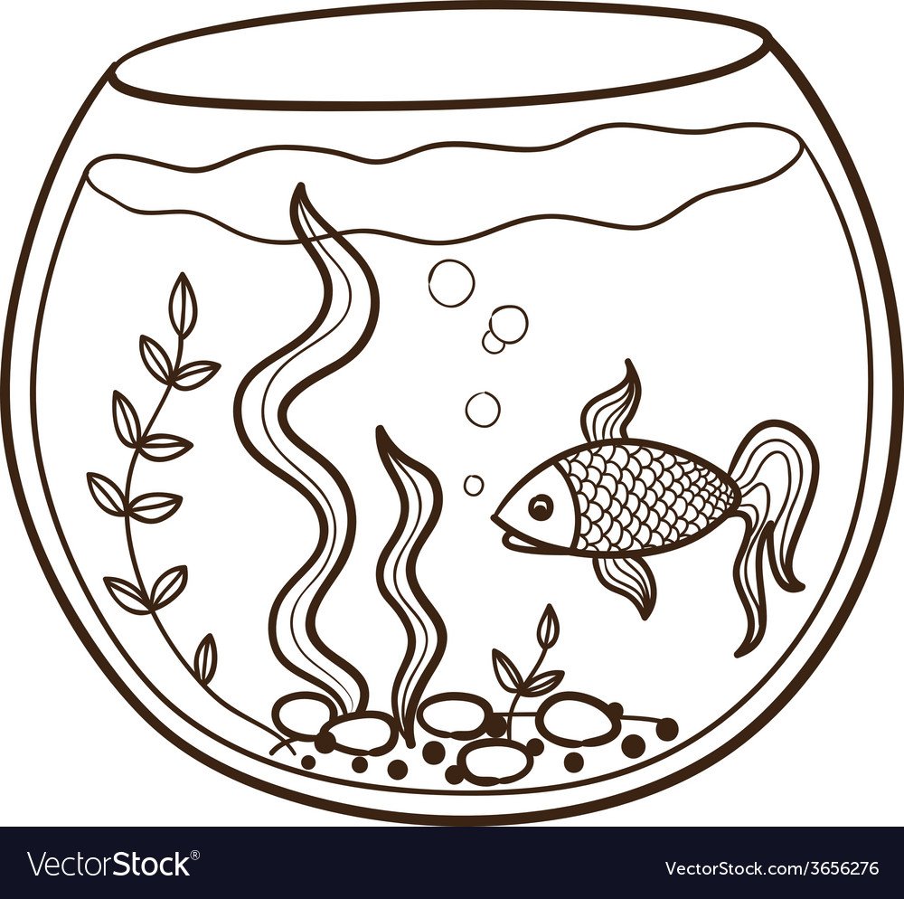 Рыбка петушок раскраска