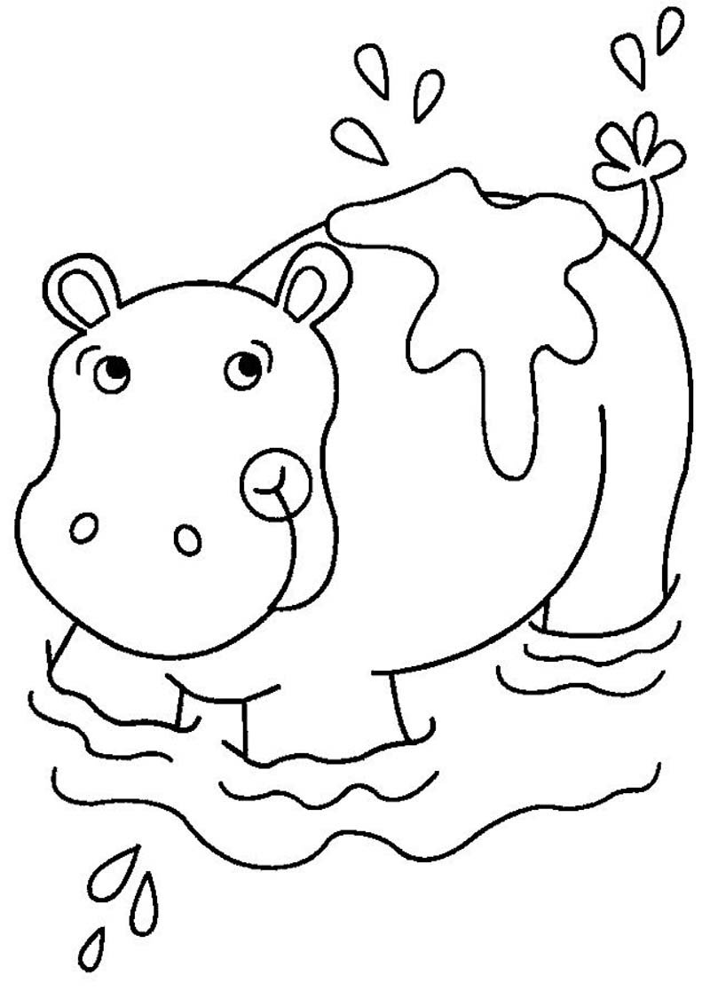 Бегемот в зоопарке раскраска для детей