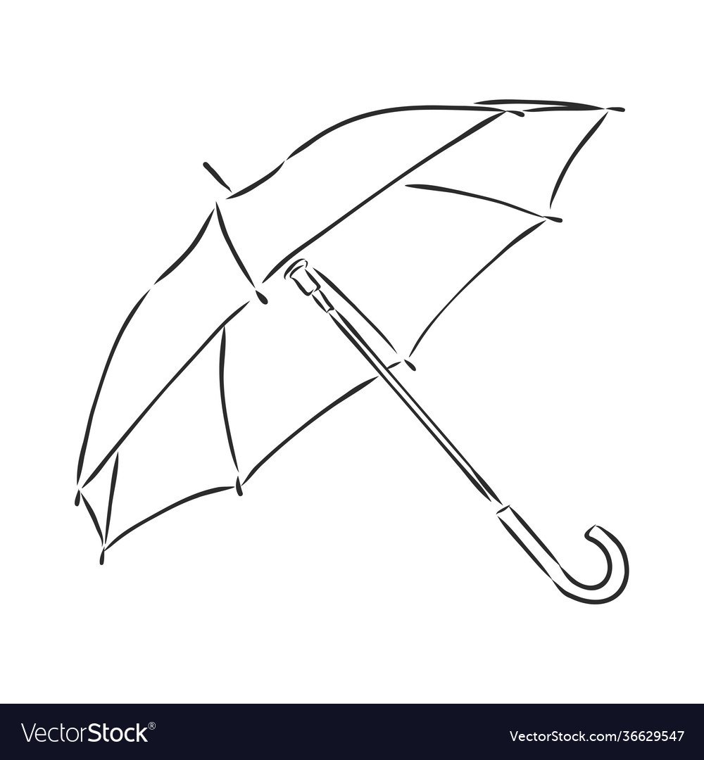 Umbrella vector line