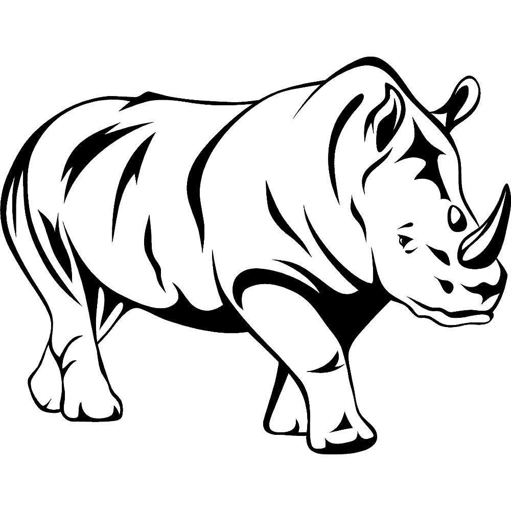 Детская раскраска носорог