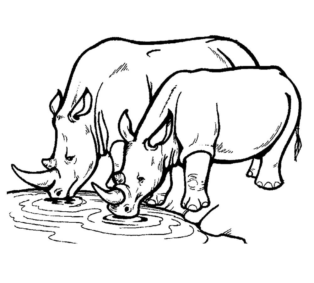 Носорог раскраска для малышей