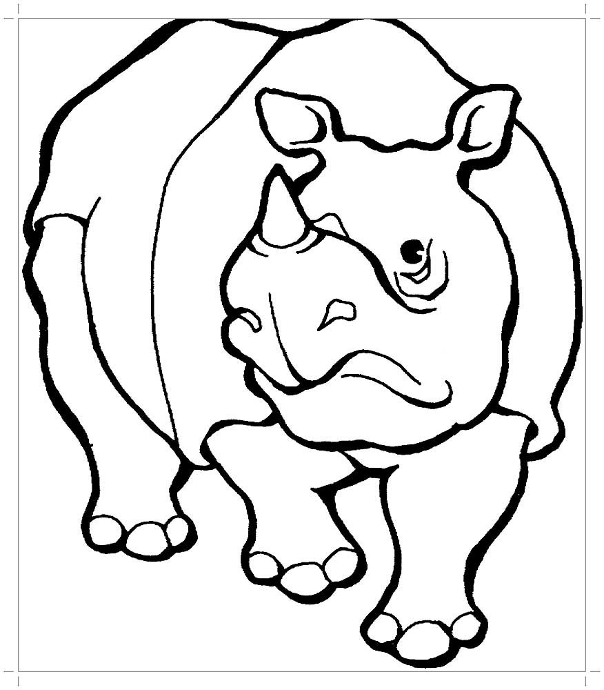 Раскраска животные носорог