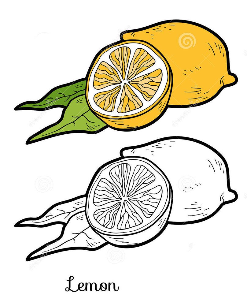 Лимон картинка раскраска