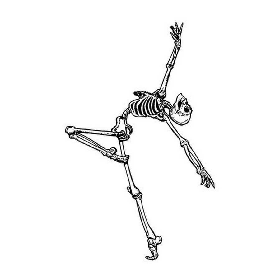 Скелет человекатплакат