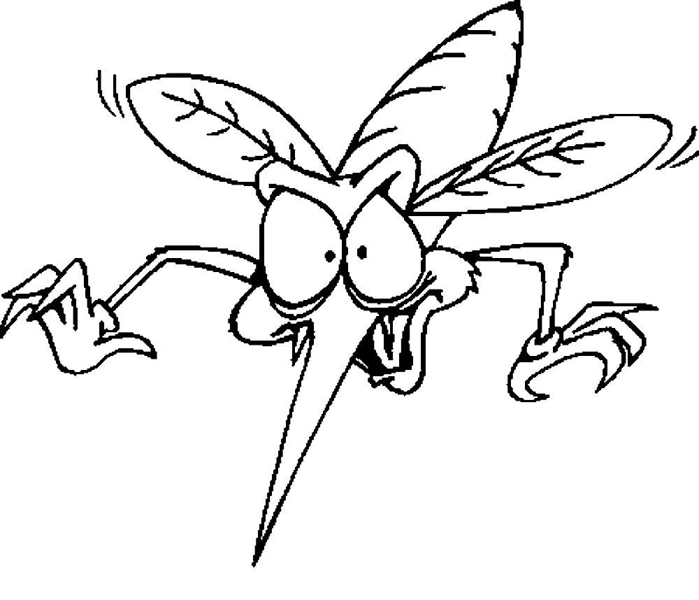 Рисование мухи и комара