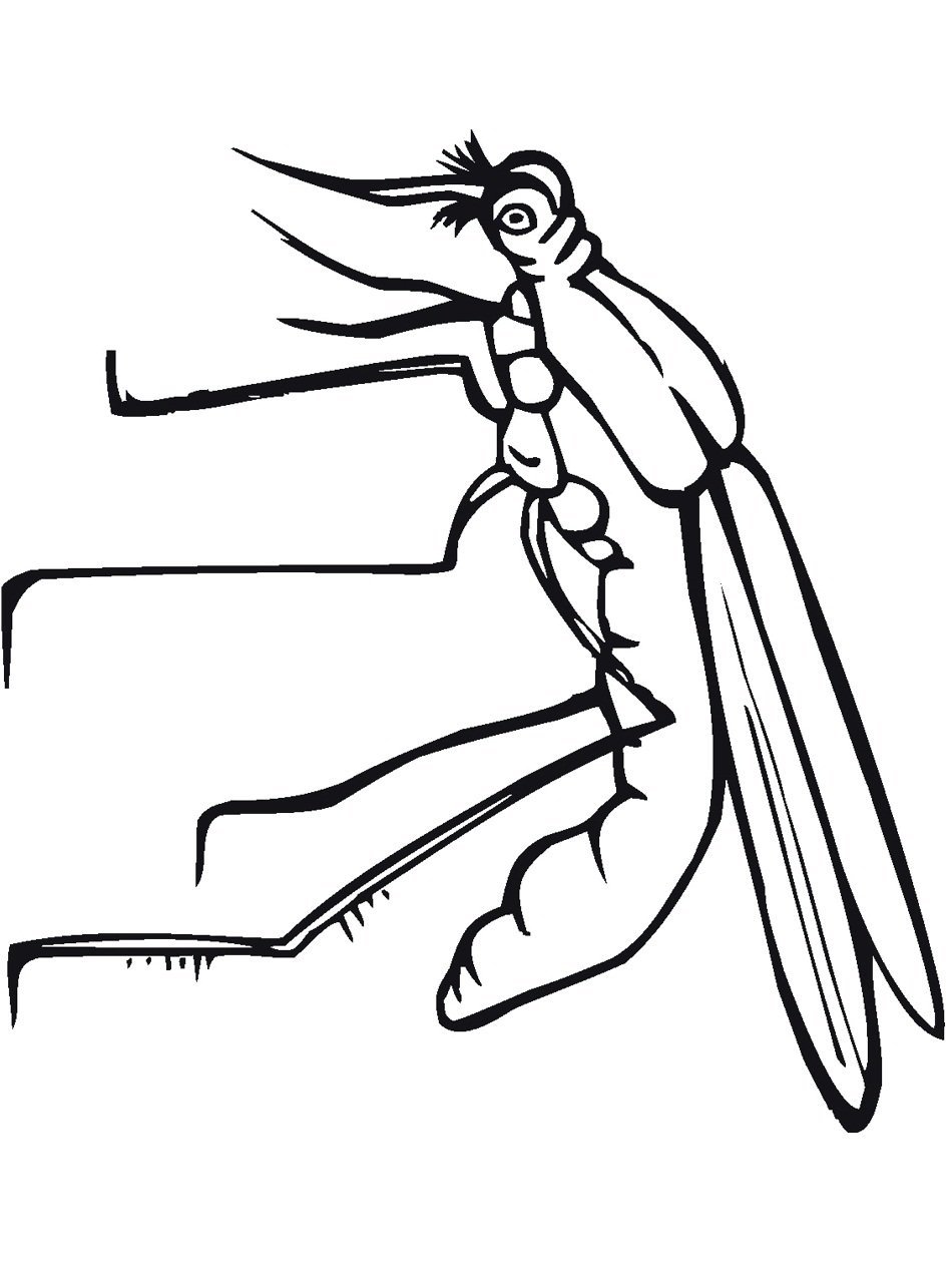 Раскраска насекомые комар
