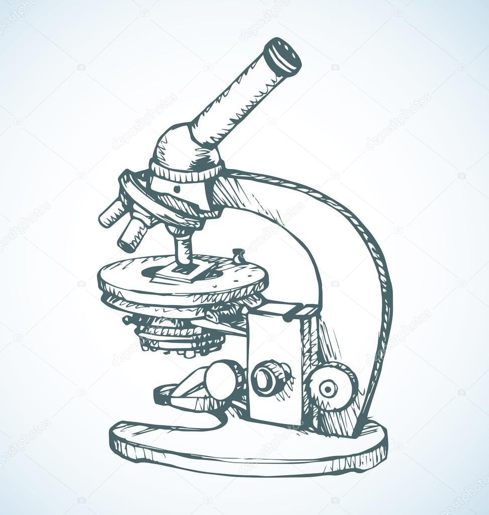 Микроскоп Шукшин рисунок
