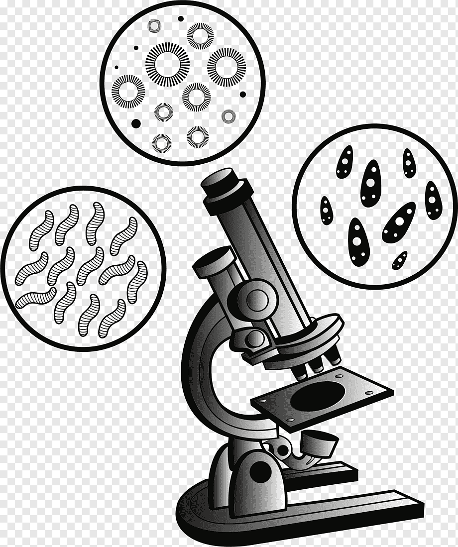 Микроскоп cartoon
