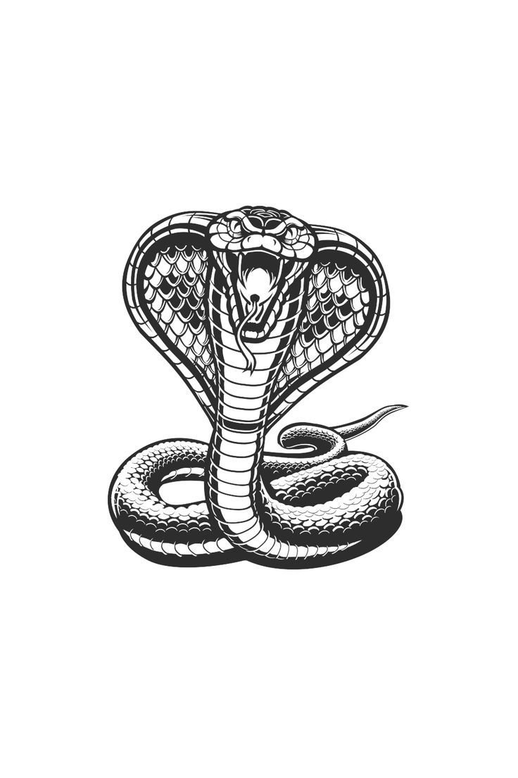 Трафарет змеи для рисования