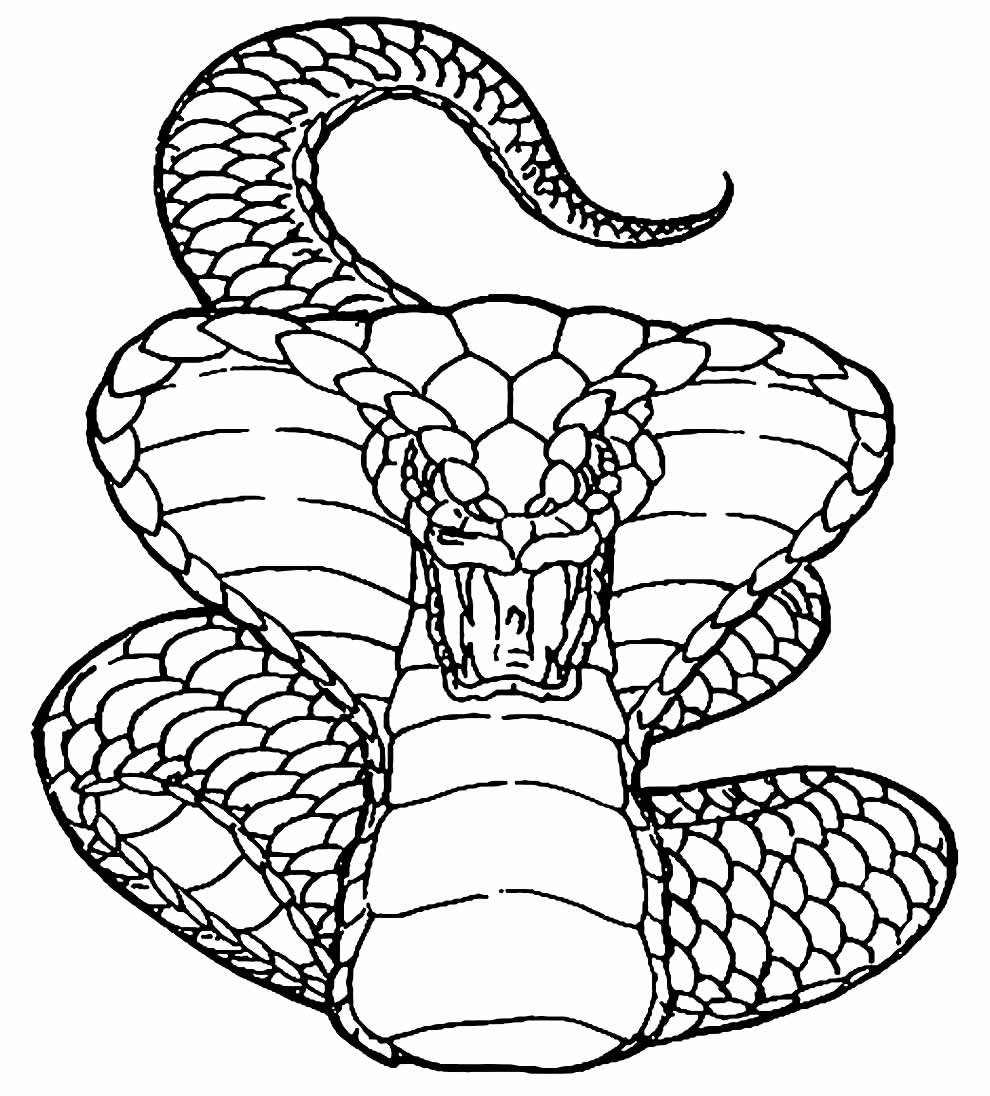 Раскраска змея Кобра
