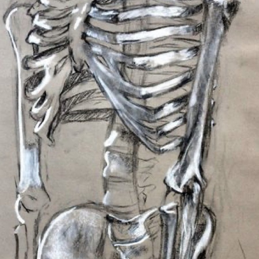 Скелет для срисовки карандашом