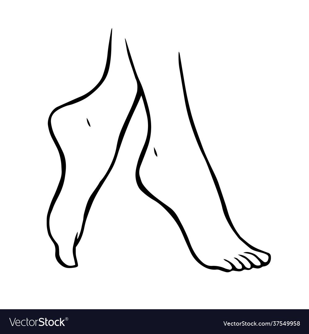 Волосатые женские ноги рисунок