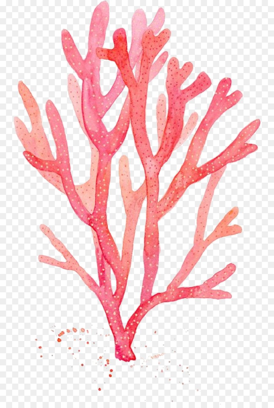 Рисунок кораллов