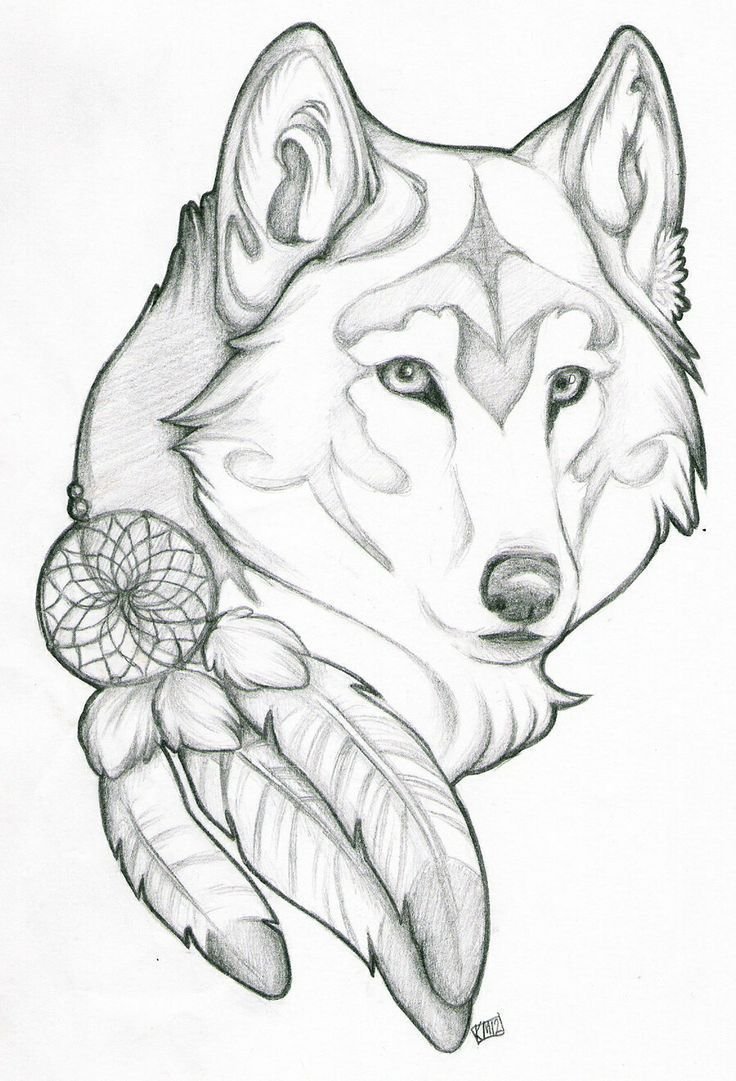 Рисунки волков
