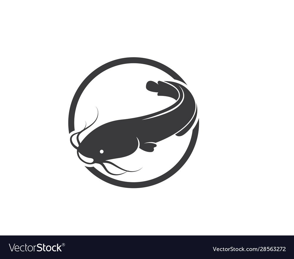 Рыба сом вектор