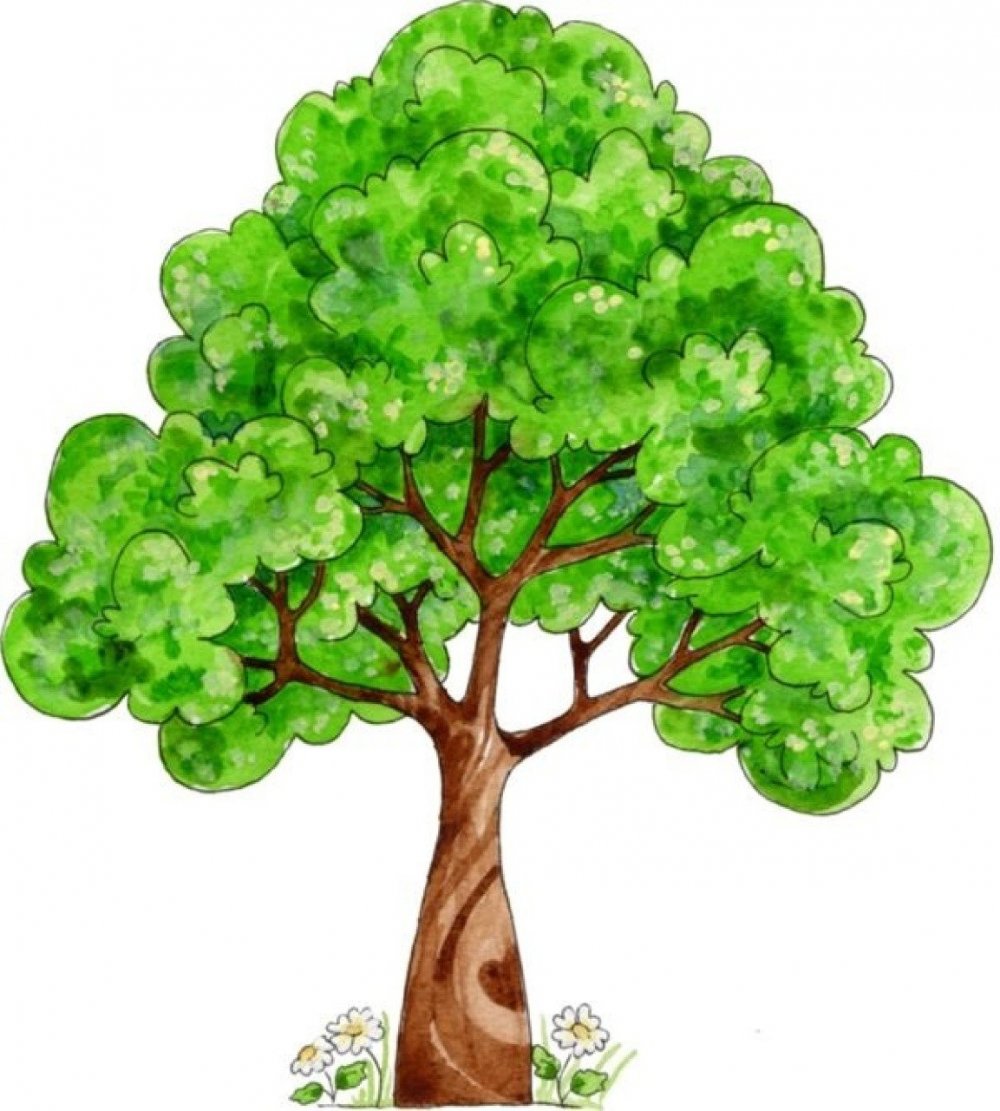 Дерево рисунок